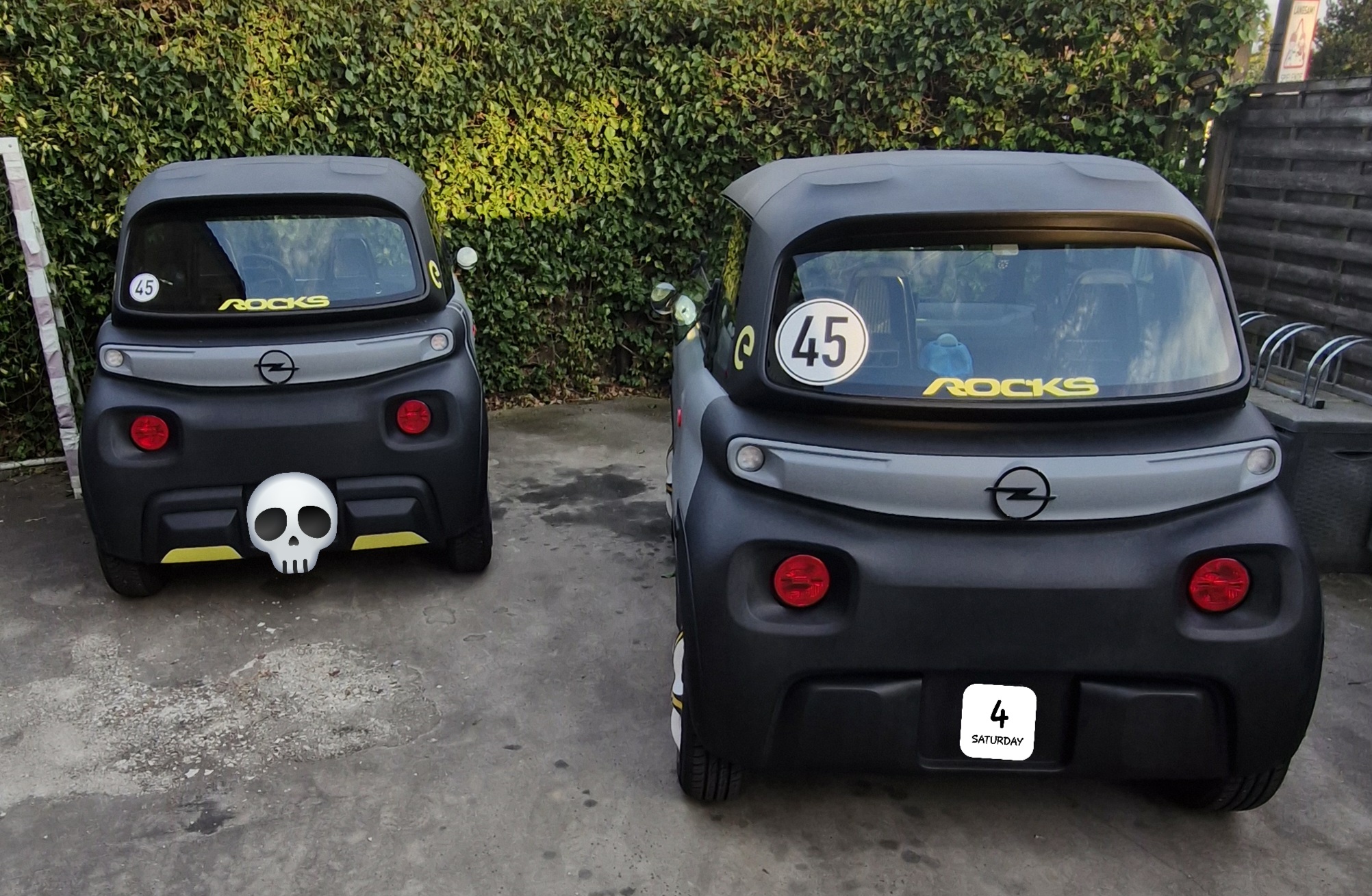 Artgenossen unter sich