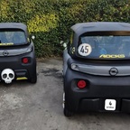 Artgenossen unter sich