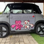 Teddy Rocks